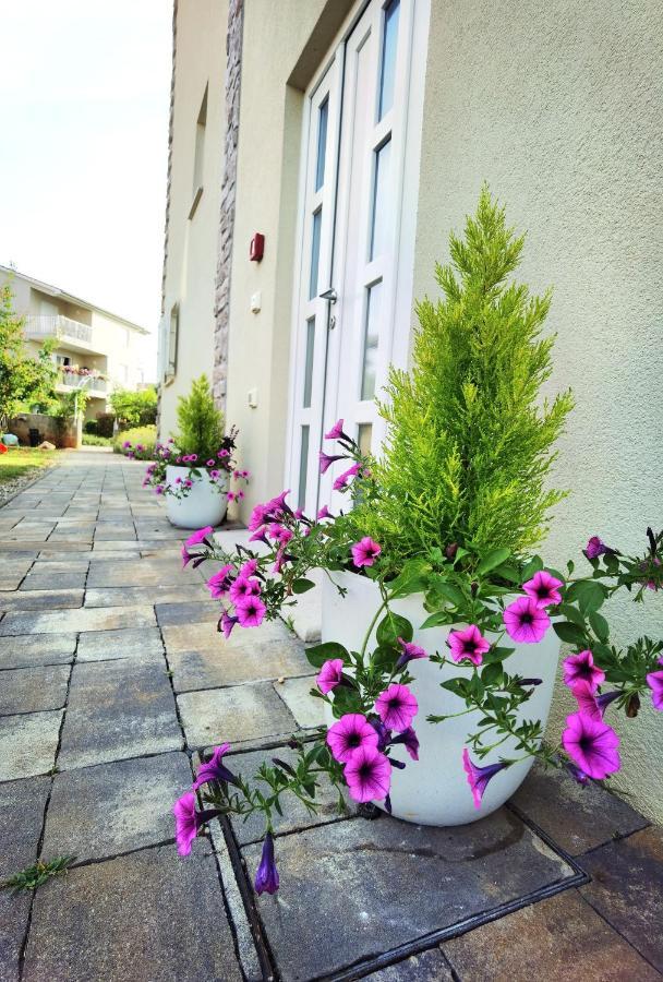 Guesthouse Olei มาลินสกา ภายนอก รูปภาพ