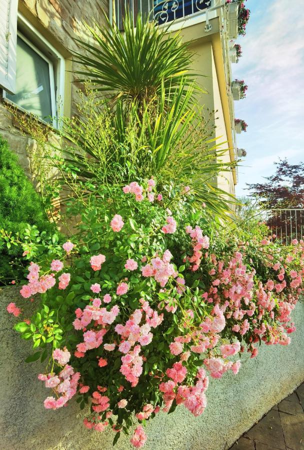 Guesthouse Olei มาลินสกา ภายนอก รูปภาพ