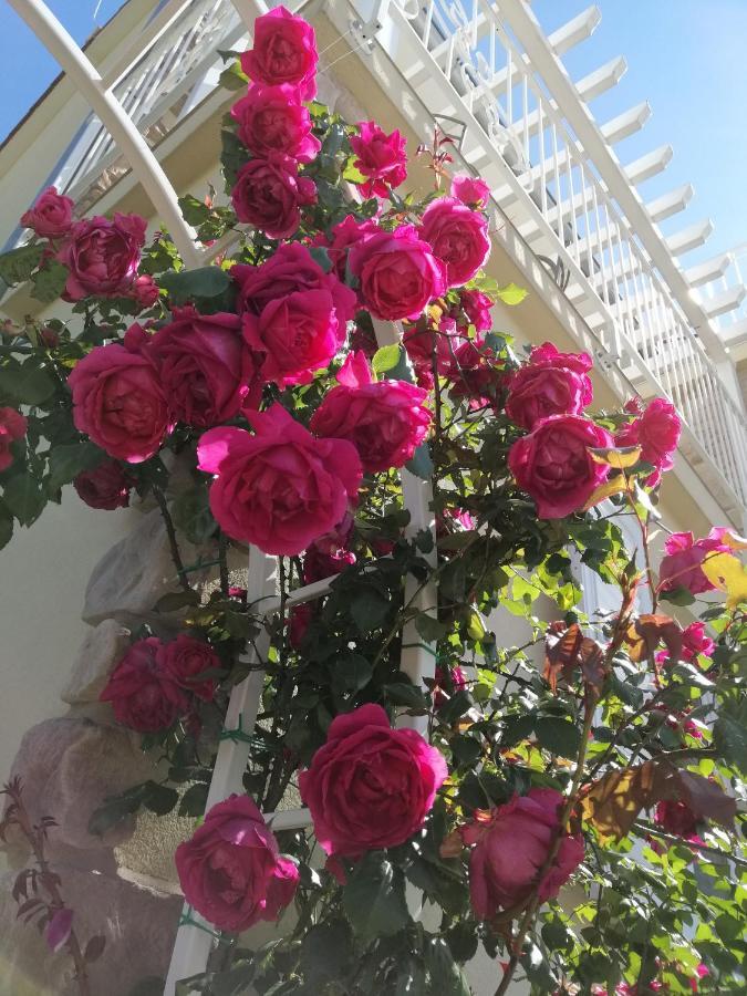Guesthouse Olei มาลินสกา ภายนอก รูปภาพ
